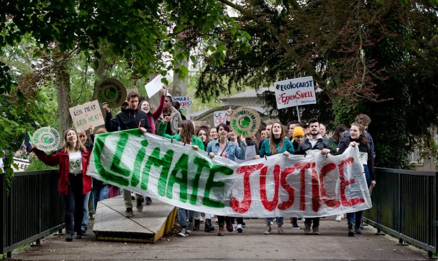 Купить диплом с реестром по доступной цене