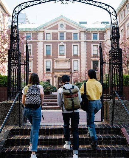 Купить диплом с внесением в реестр надежно и быстро